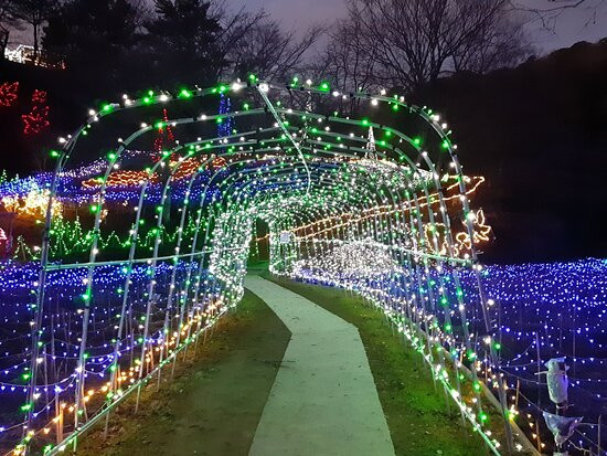 Ichihara Quard's Forest-市原市必去景点