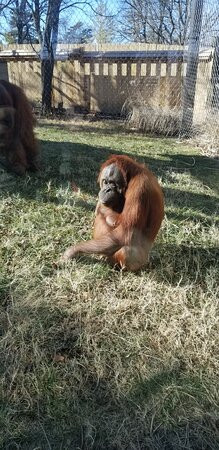 Topeka Zoo and Conservation Center-托皮卡必去景点