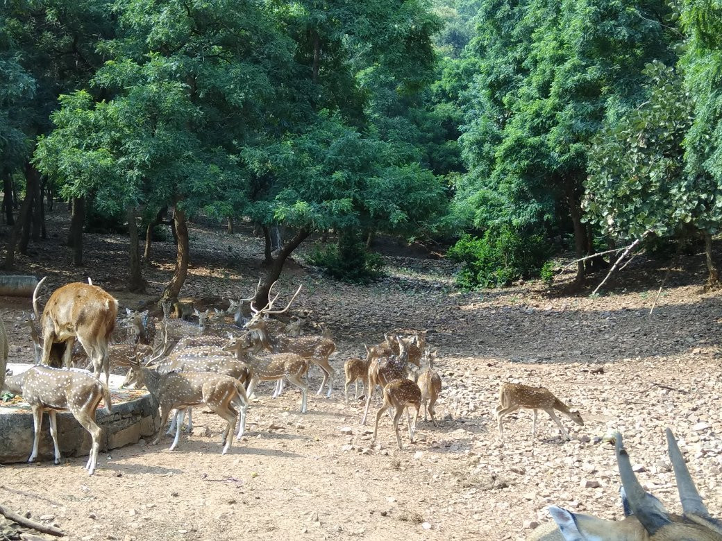 Kundi Bhandara景点图片