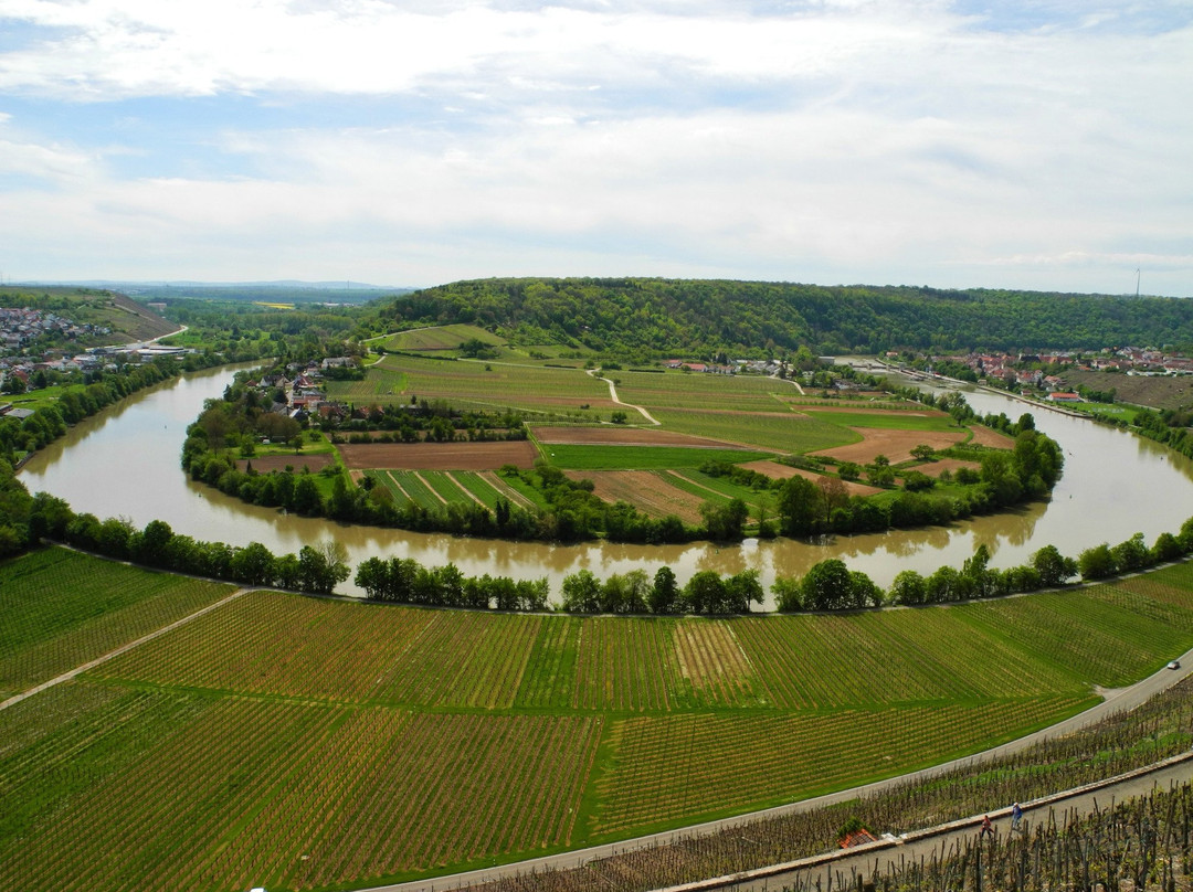 Zur Neckarschleife bei Hessigheim景点图片