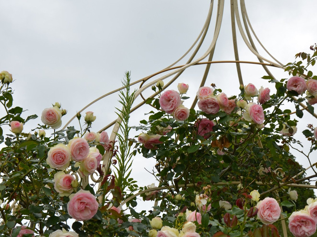 Brindabella Country Garden-Highfields必去景点