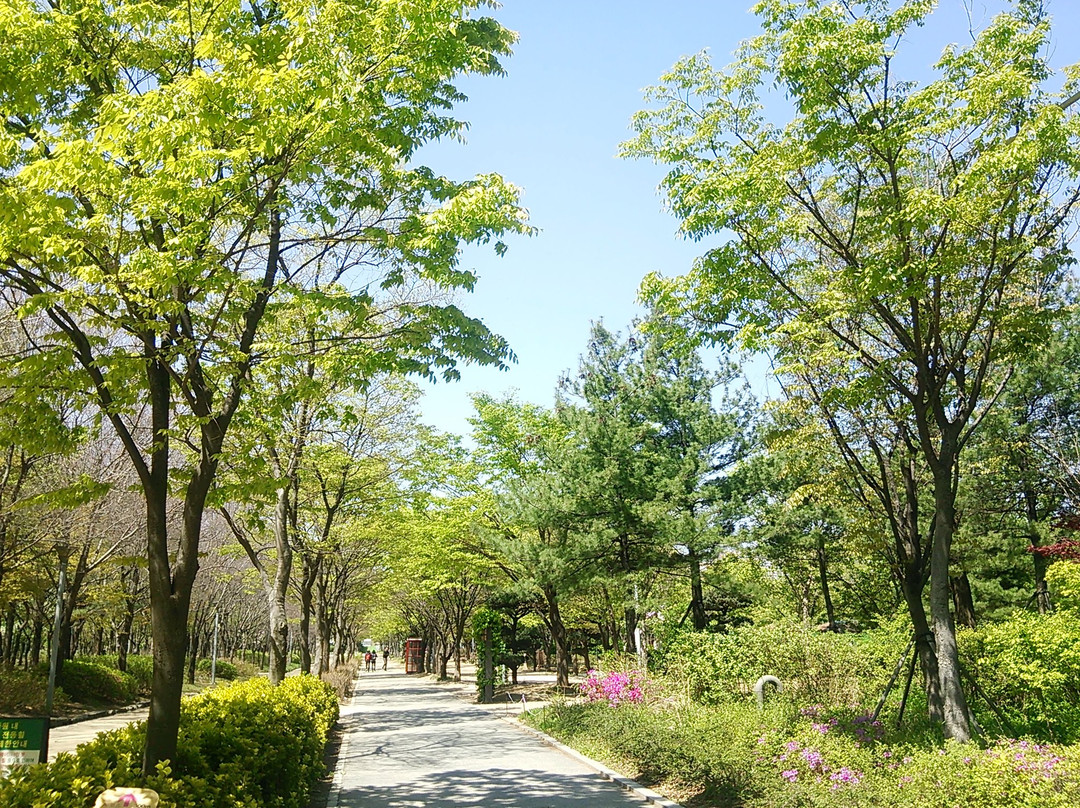Seoul Forest景点图片