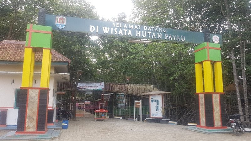 Hutan Payau