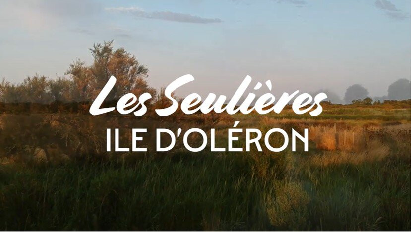 Camping Les Seulières