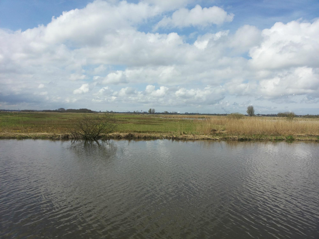 Schipluiden餐馆和美食-Restaurant Vlietzicht