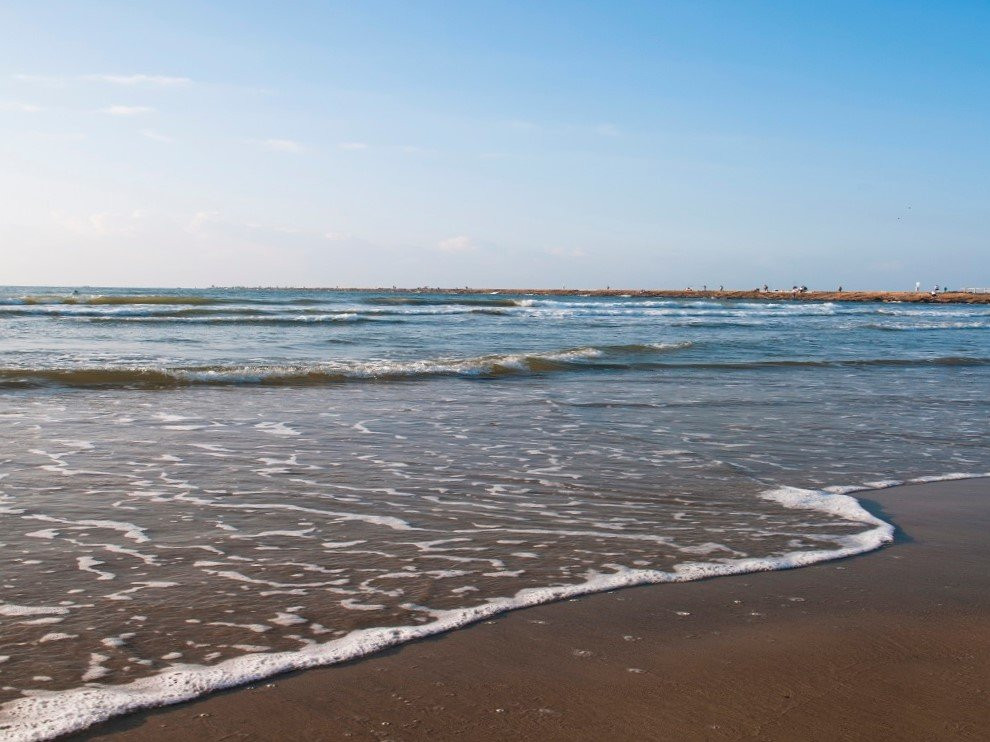 Clute旅游攻略图片