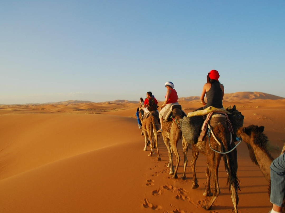 Camel Excursions Morocco景点图片