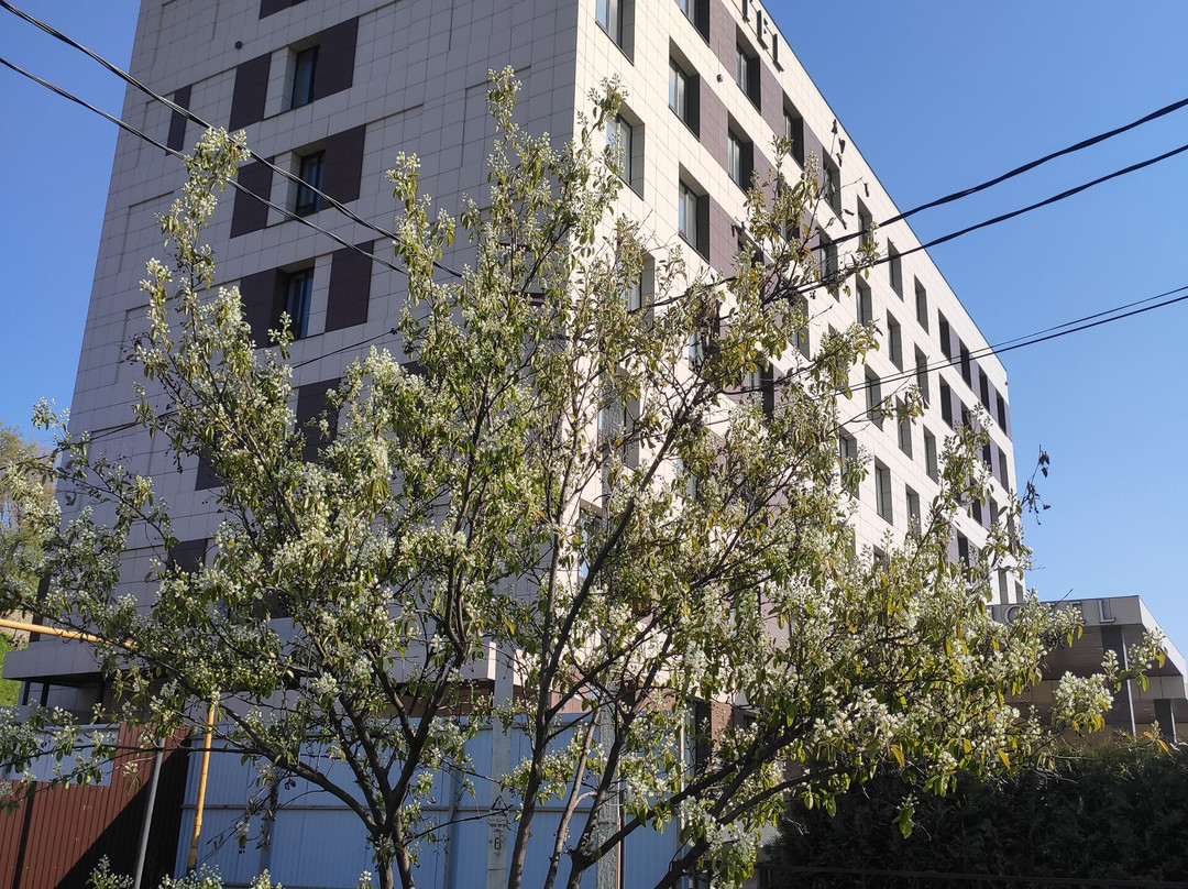 Bis Hotel