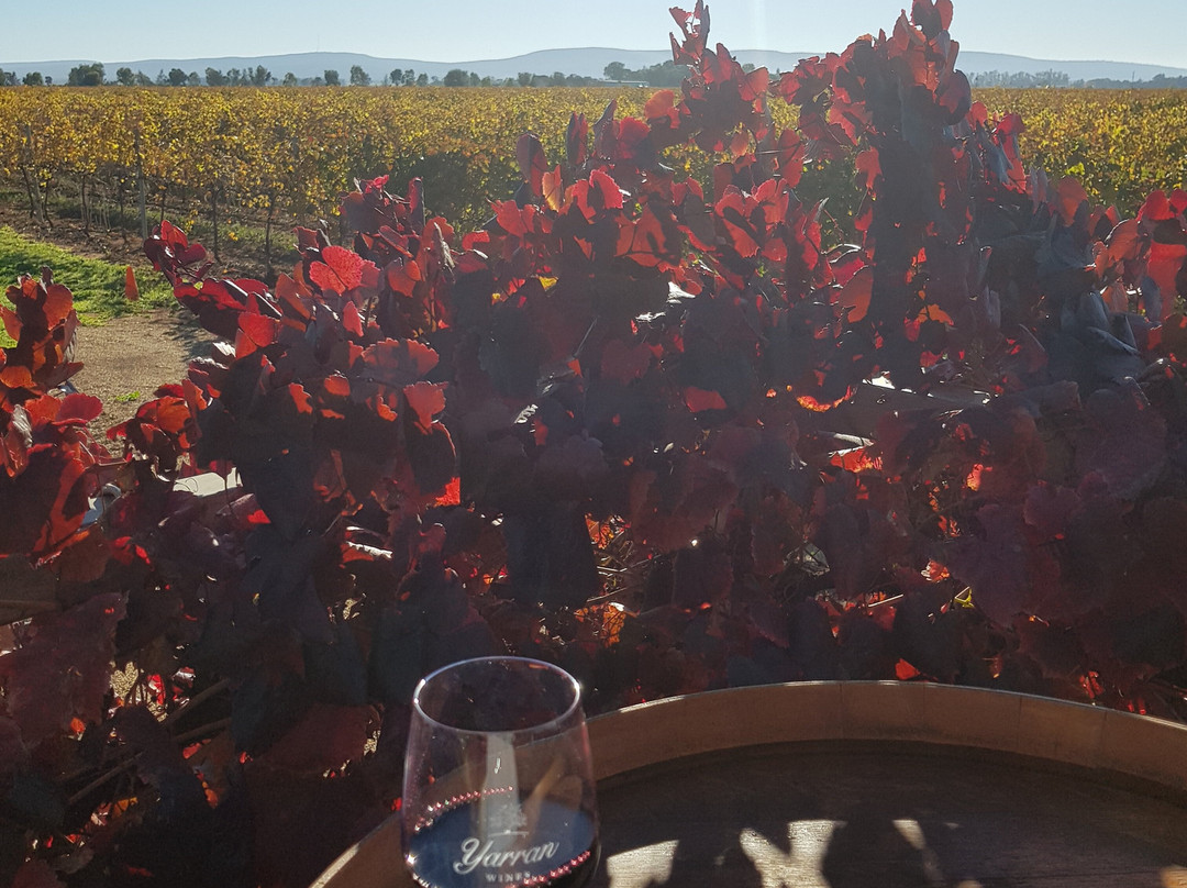 Yenda旅游攻略图片