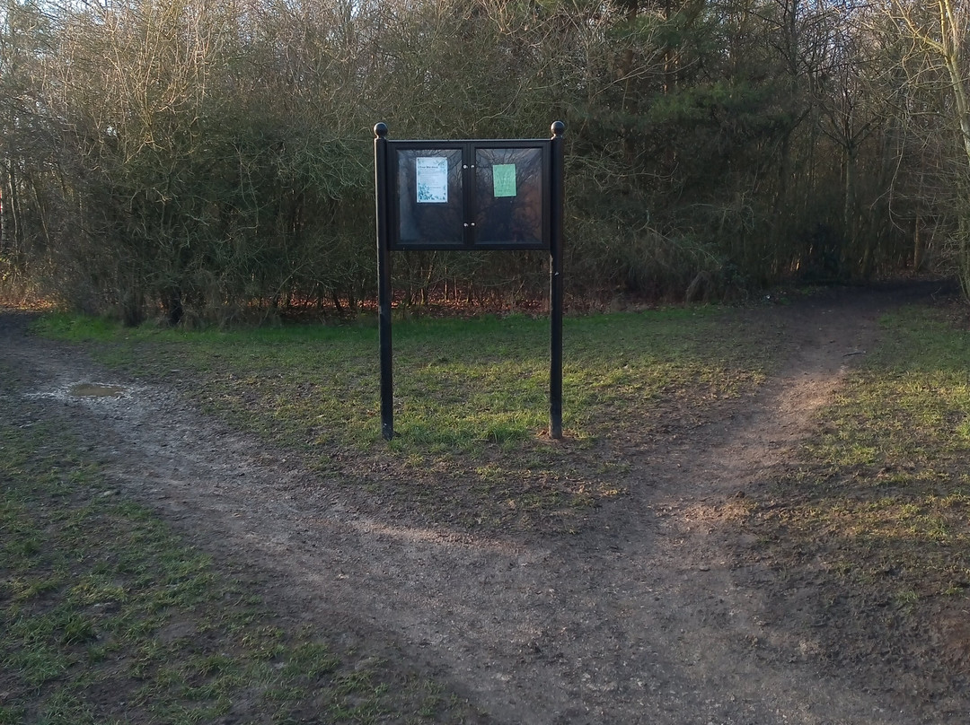 Breaston旅游攻略图片