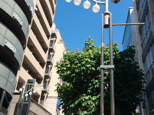 Kanda Suzuran Shopping Street-千代田区必去景点