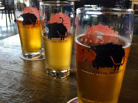 Carrboro旅游景点-Steel String Brewery