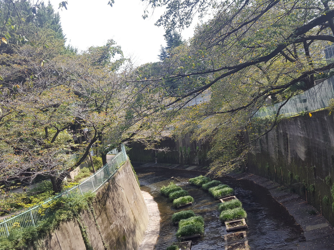 板桥区旅游景点-Shakuji River Green Road
