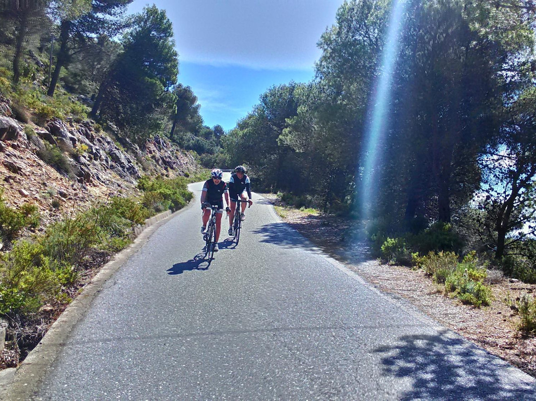 Centro Ciclismo Andalucia景点图片