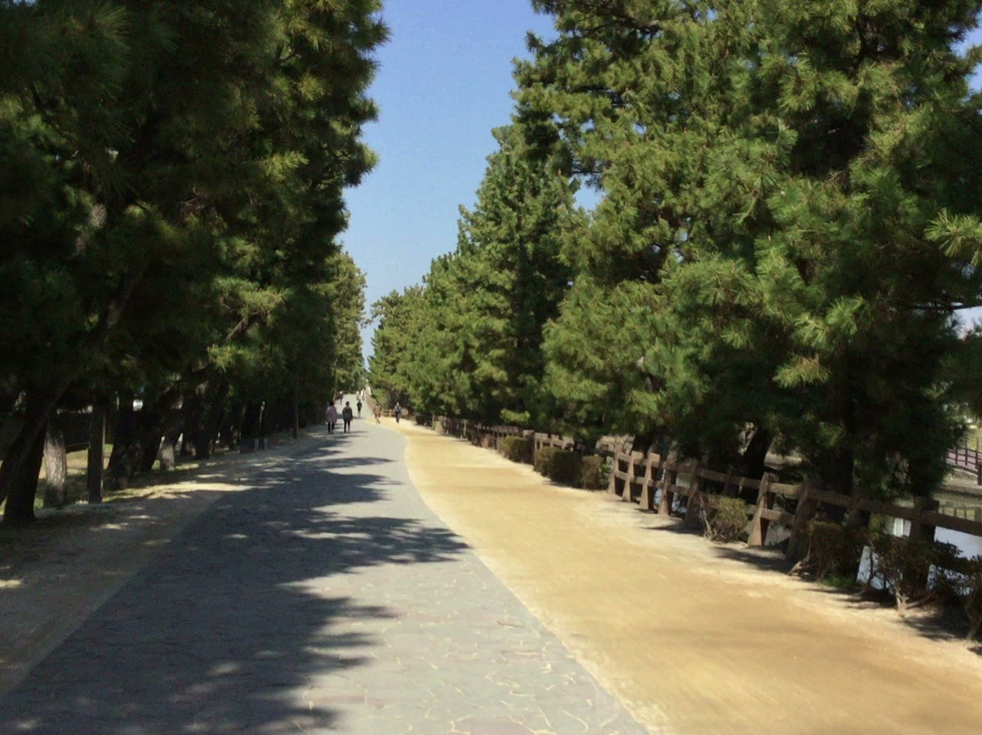 埼玉县旅游景点-Soka Matsubara