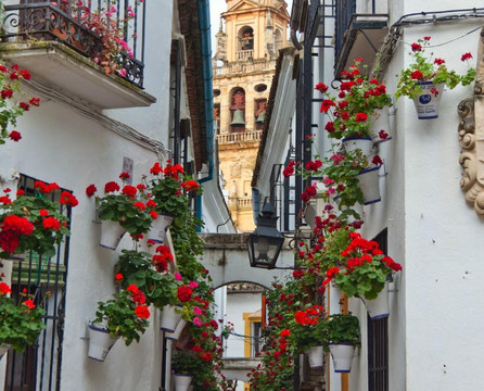 Julia Travel Costa Del Sol