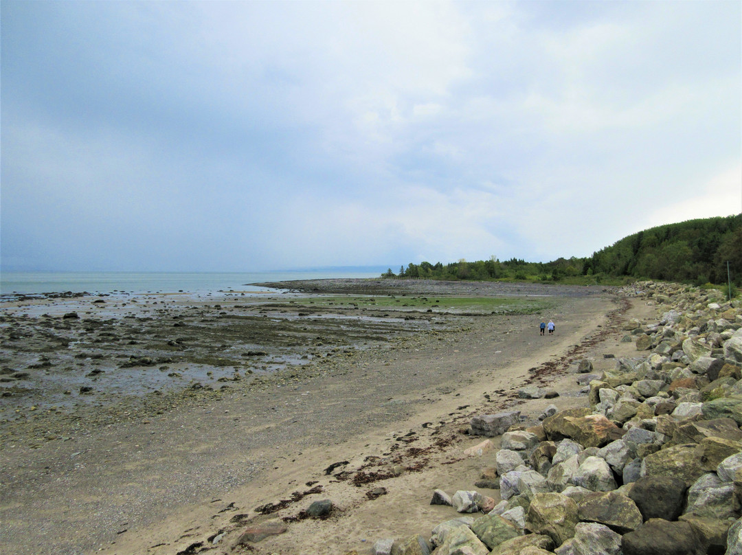 Plage De Cap Aux Oies