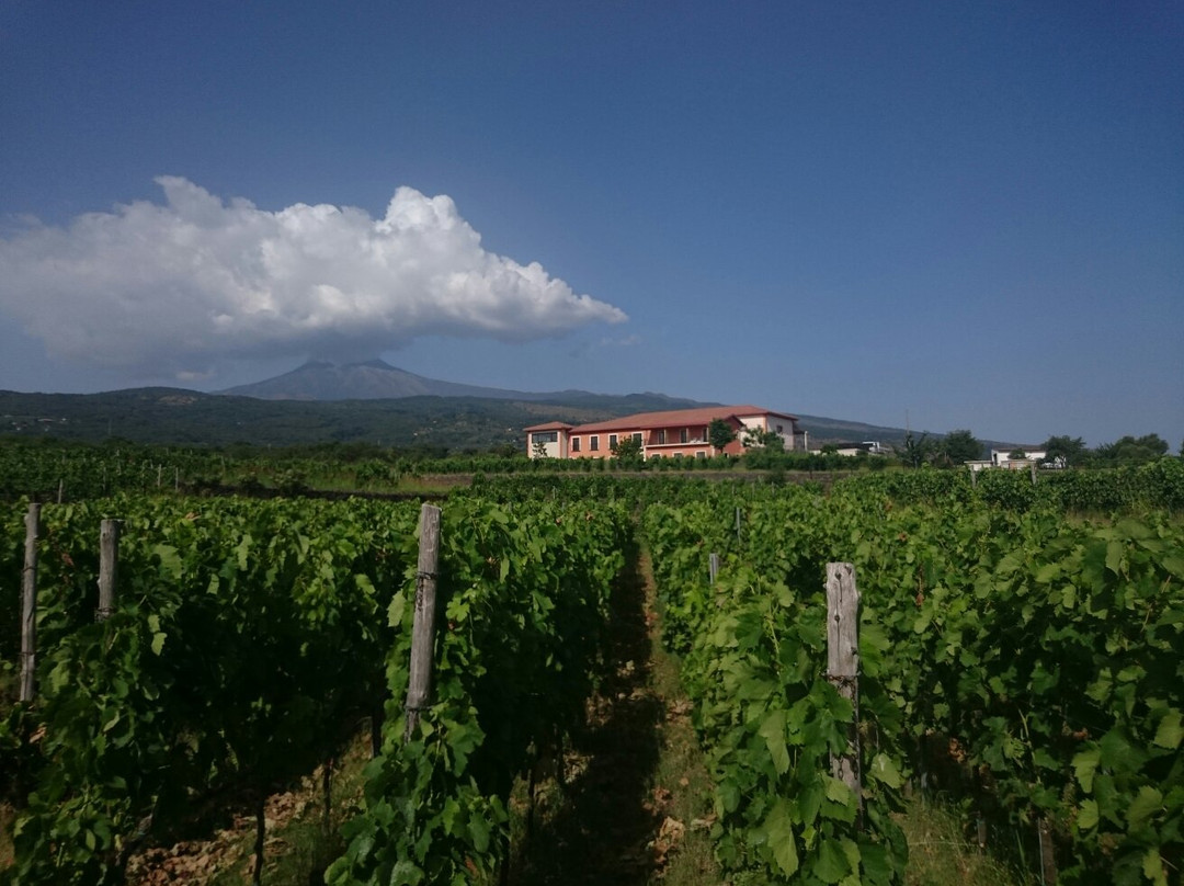 VIVERA Etna Winery-林瓜格洛萨必去景点