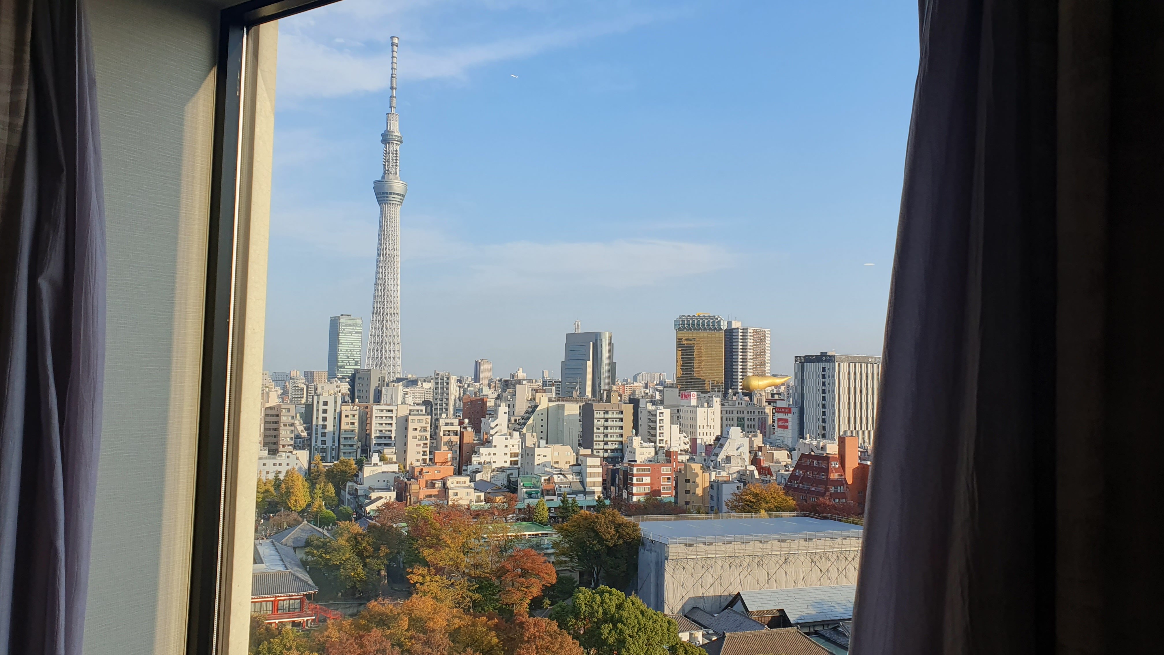 里士满浅草国际酒店-酒店景观