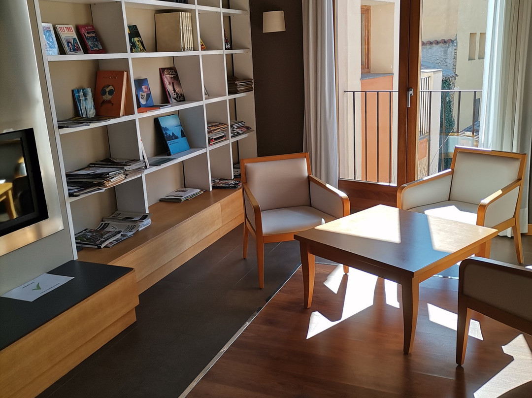 El Faixero Evolucion主图