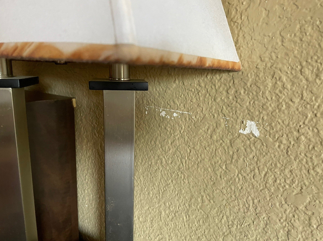 Super 8 by Wyndham Sarasota Near Siesta Key主图