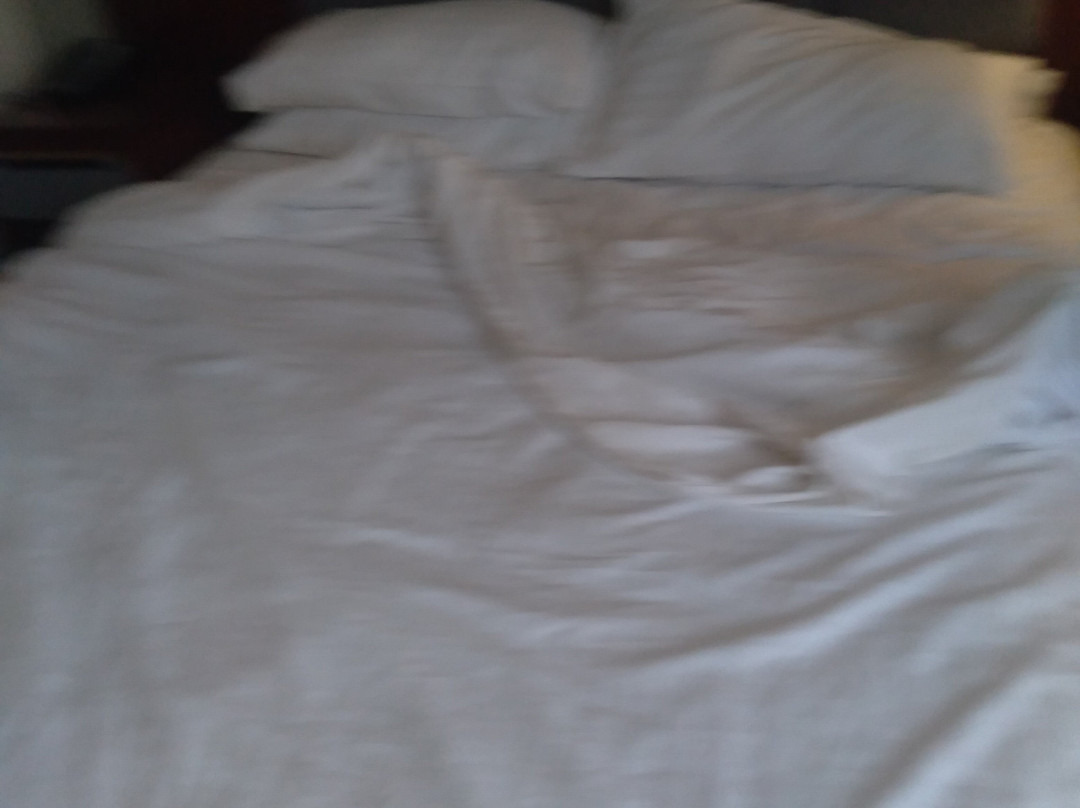 保尔武基旅馆&会议中心主图