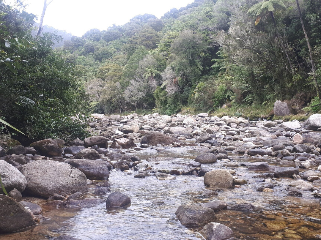 Wainui Falls Track-Abel Tasman National Park必去景点