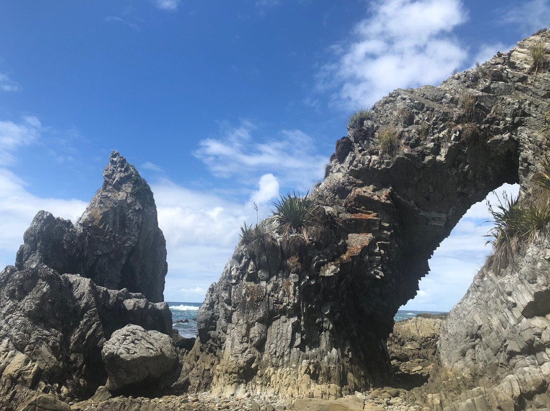 Mangawhai Walkway景点图片