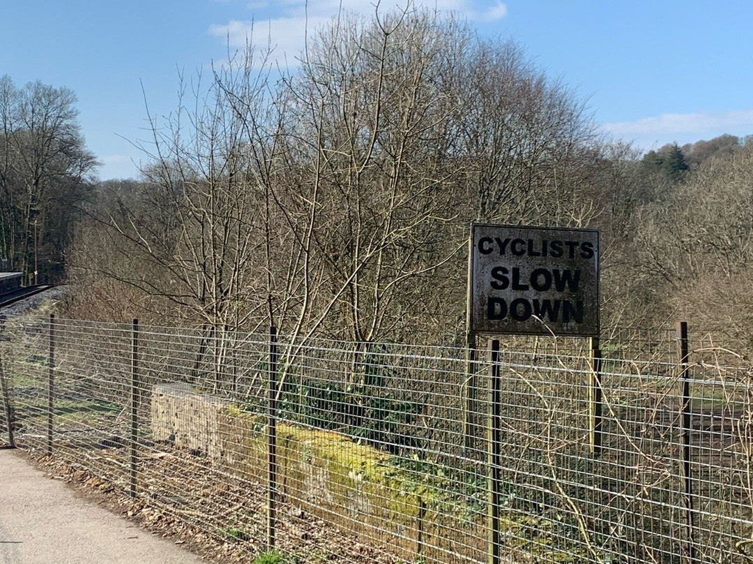 Plym Valley Cycle Trail-普利茅斯必去景点