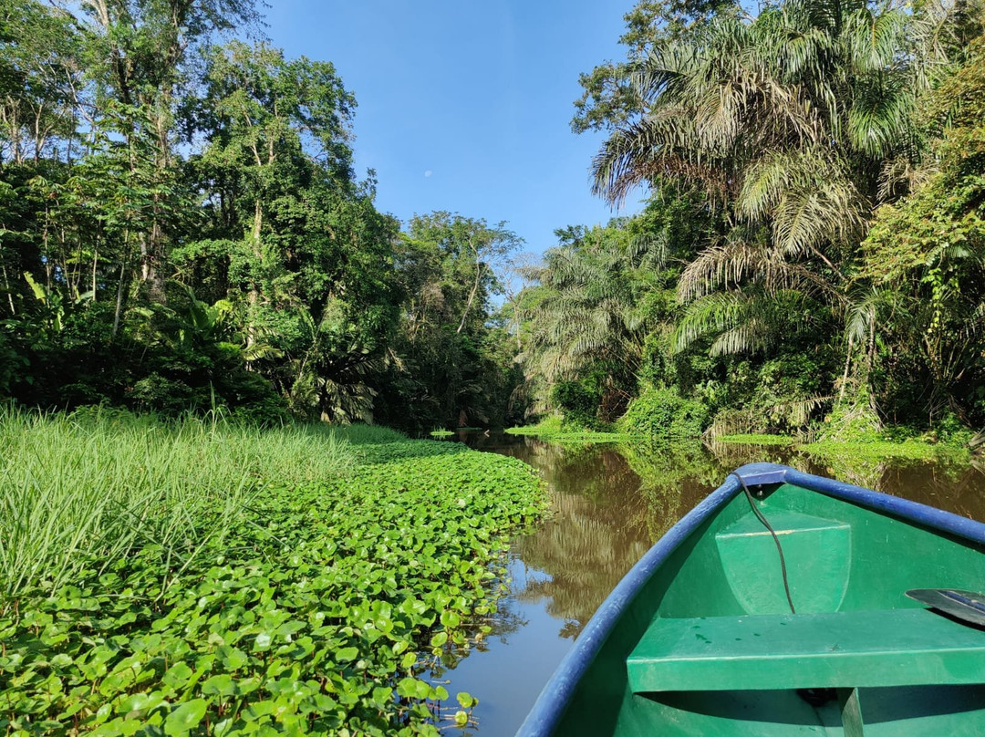 Tortuguero Adventures GuestHouse主图