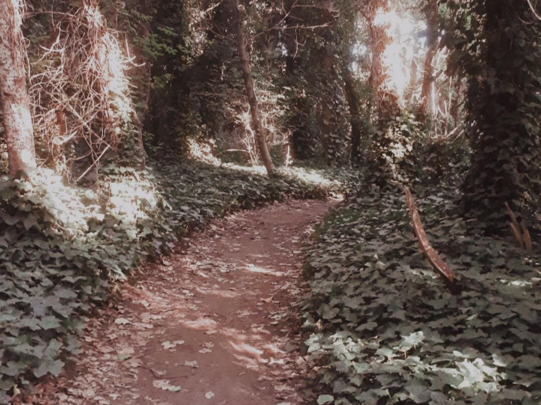 Sendero Ribera Del Belisario-Villa Ventana必去景点