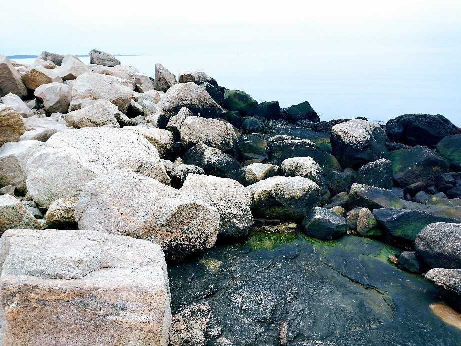 Bluff Point State Park景点图片