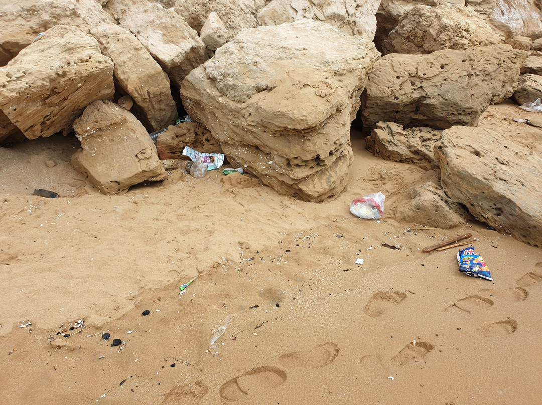 Ree Shahr-Bushehr必去景点