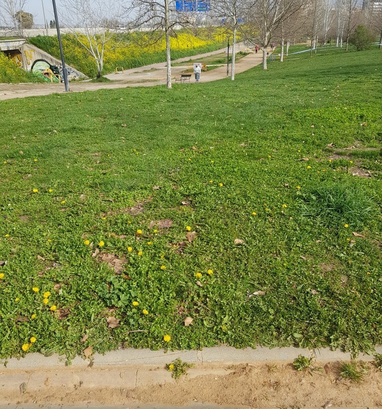 Parque Periodista Tico Medina-格拉纳达必去景点