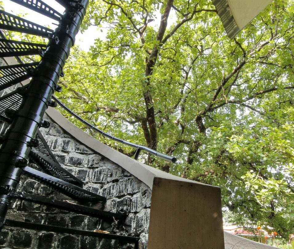 Bundela Bandhavgarh by Octave主图