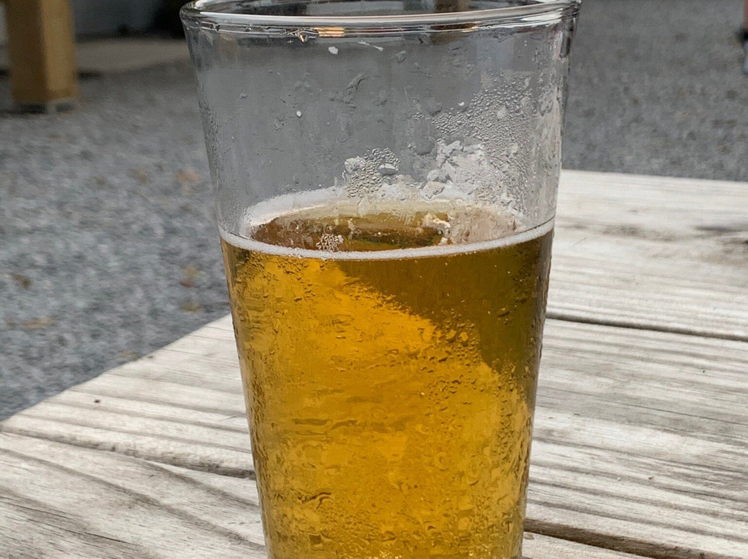 Bayou Teche Brewing景点图片