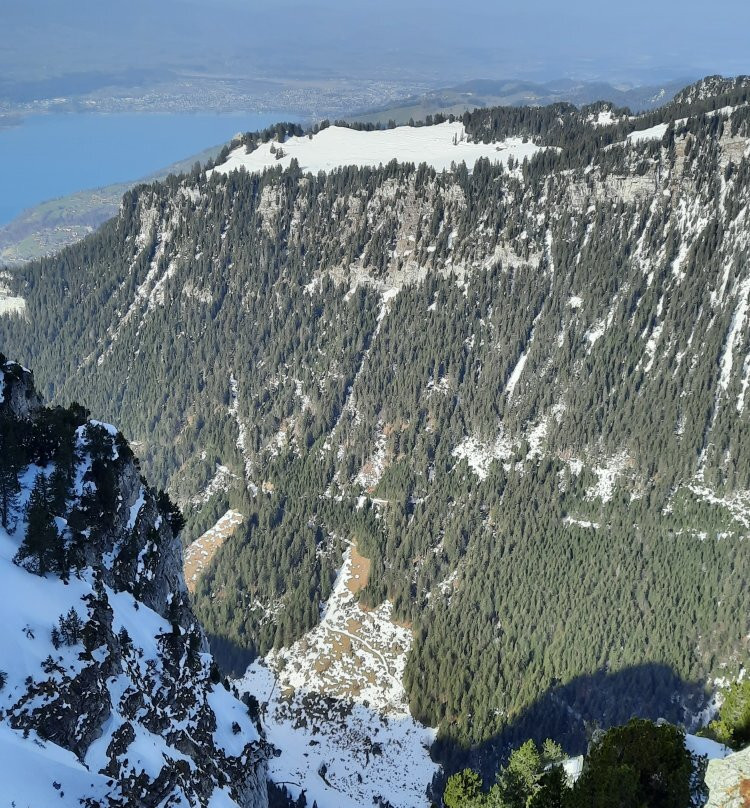Niederhorn Berg-贝阿滕贝格必去景点