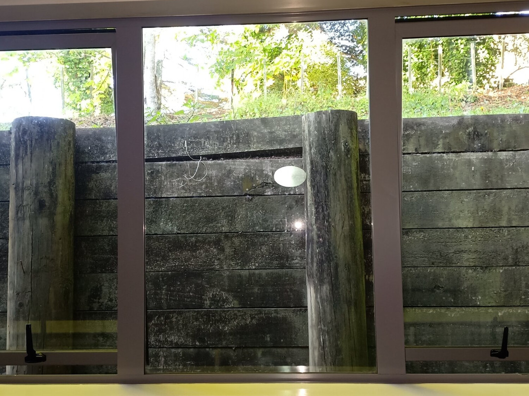 The Waitomo Village Chalets - Home Of Kiwipaka主图