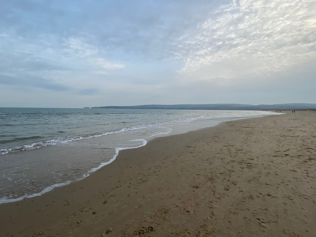 Studland beach and Nature Reserve景点图片
