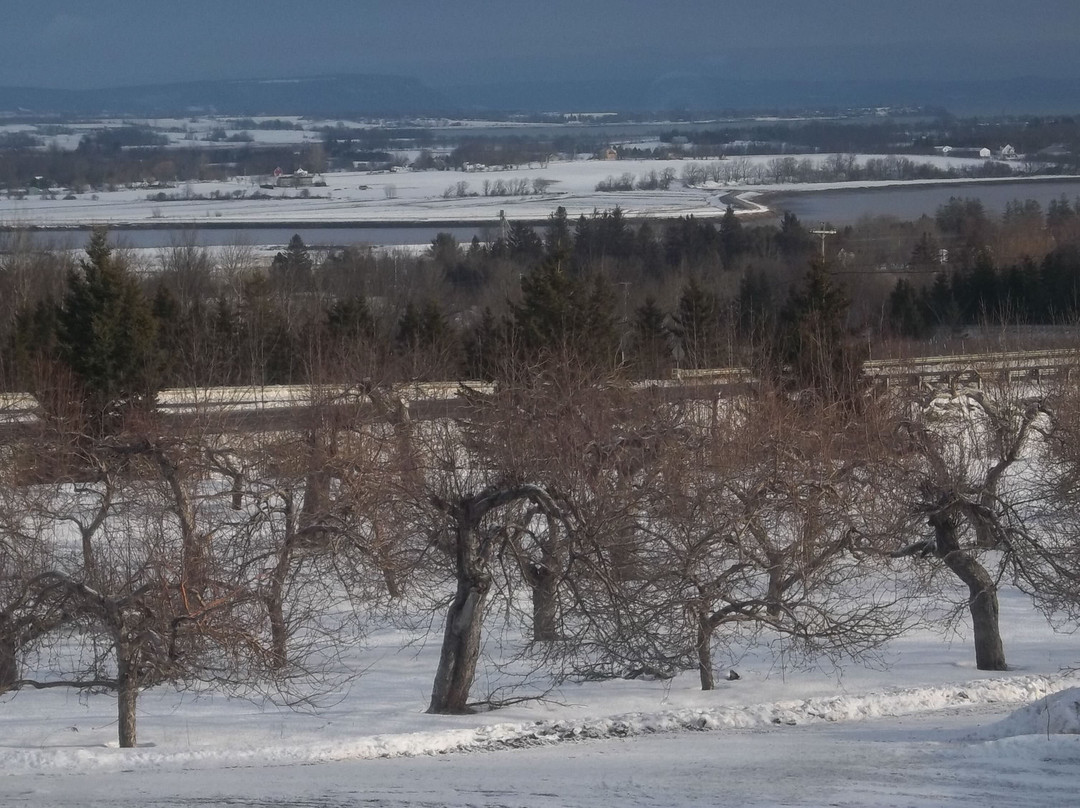老果园spa度假酒店主图