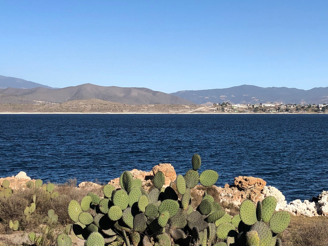 Laguna de Alchichica景点图片