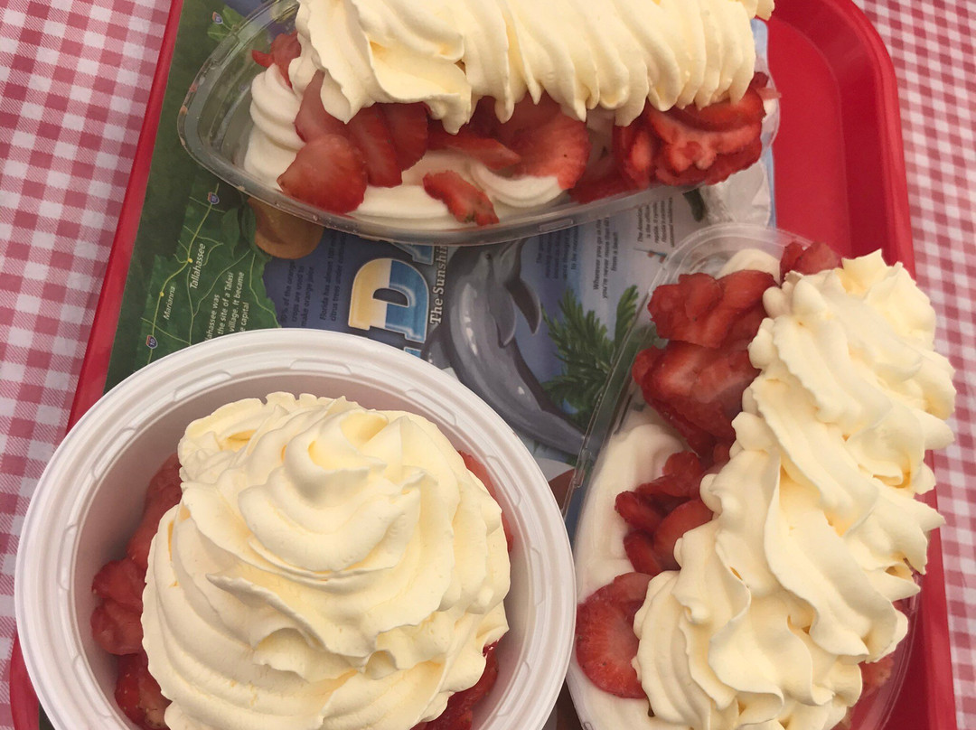 Parkesdale Farm Market-普兰特城必去景点