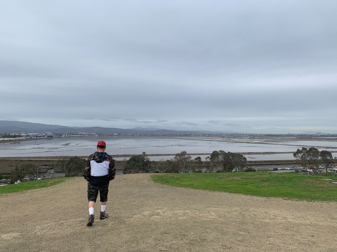 Bedwell Bayfront Park-门洛帕克必去景点