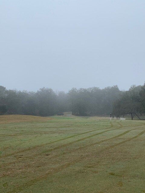 Magnolia Point Golf and Country Club景点图片