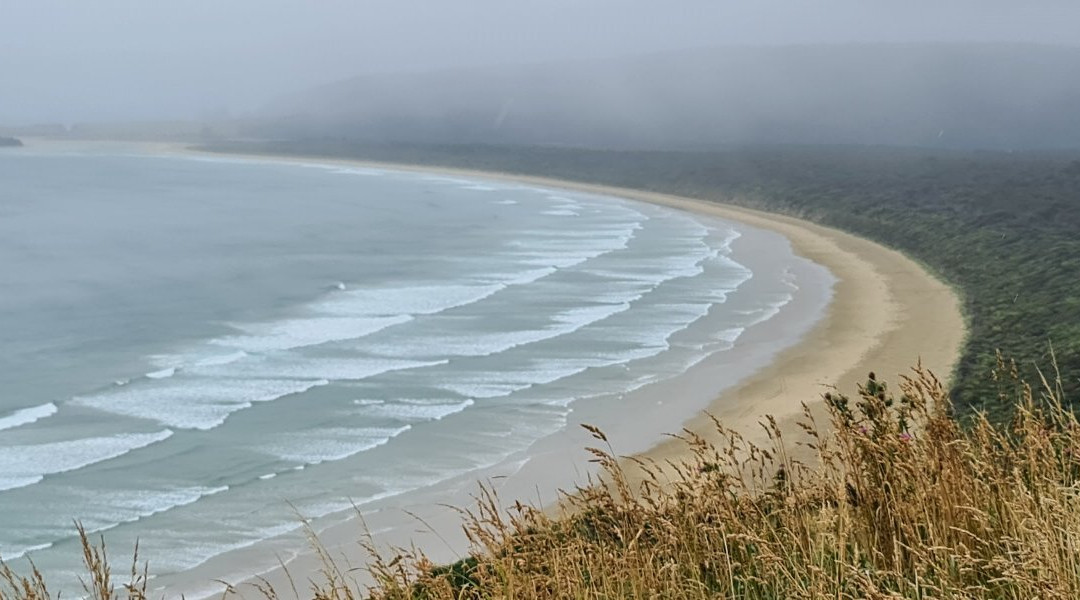 Florence Hill Lookout-Papatowai必去景点