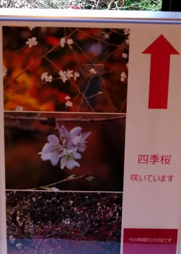 Hotel Kinsenkaku主图