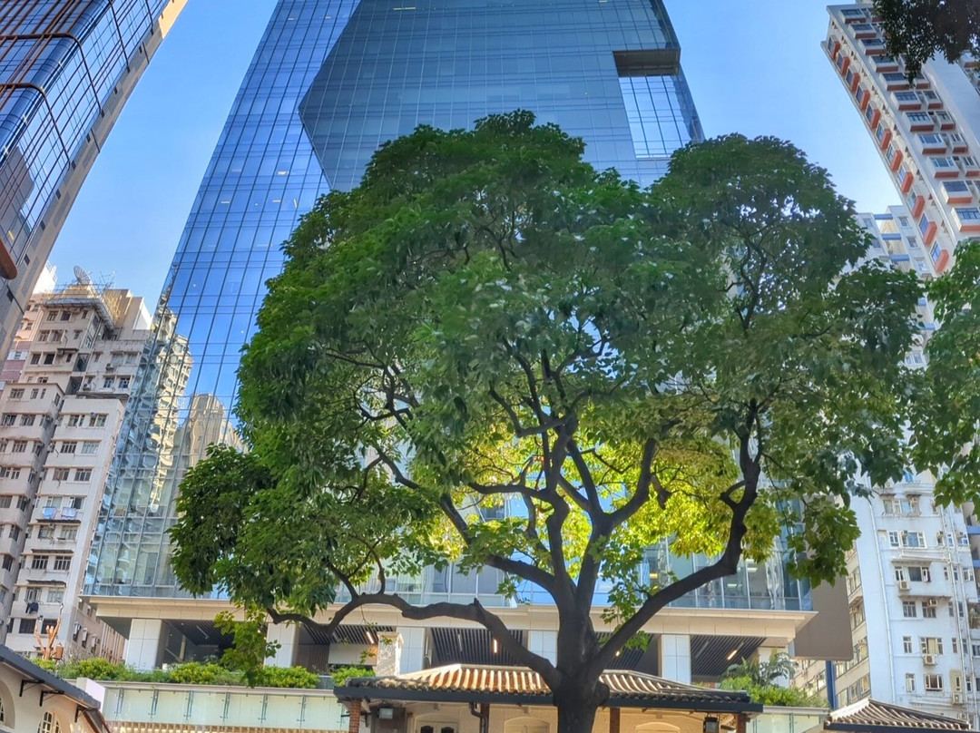 油街实现景点图片