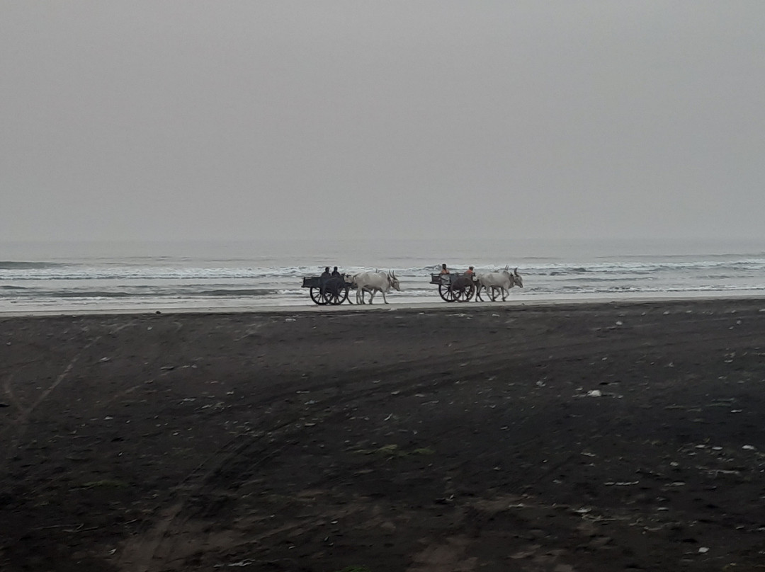 KonkanTrip Beach Resort主图