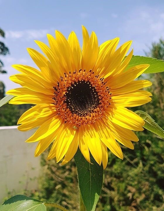 Herdade Quinta Natura主图