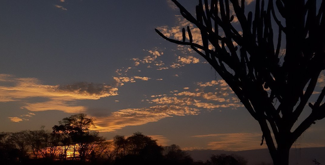 Agave Fields-瓦图尔科必去景点